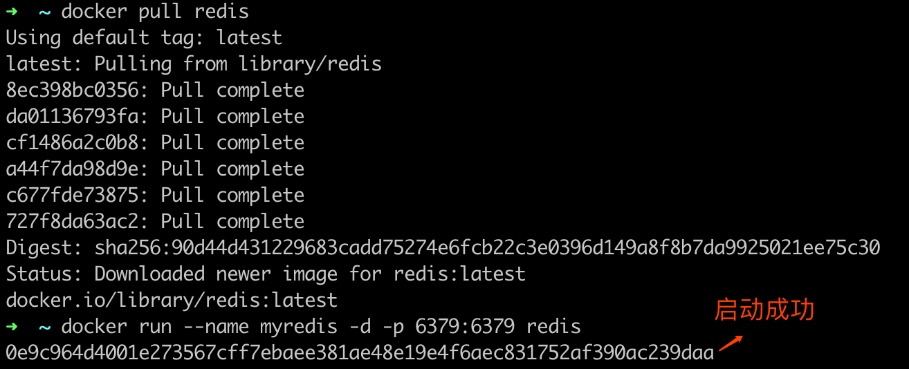 redis-setup-docker-ok.png