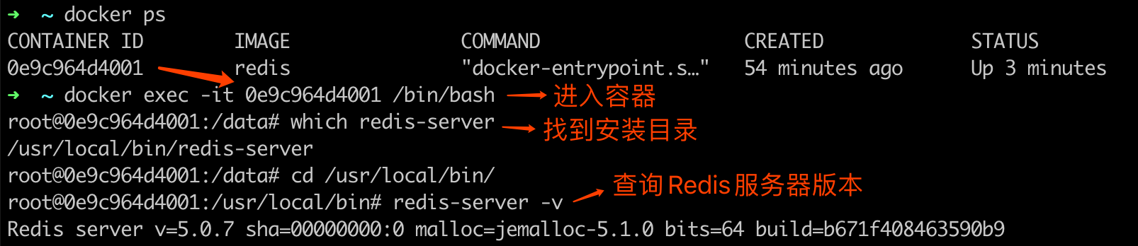 redis-docker-version.png